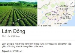 Hút Bể Phốt Lâm Đồng